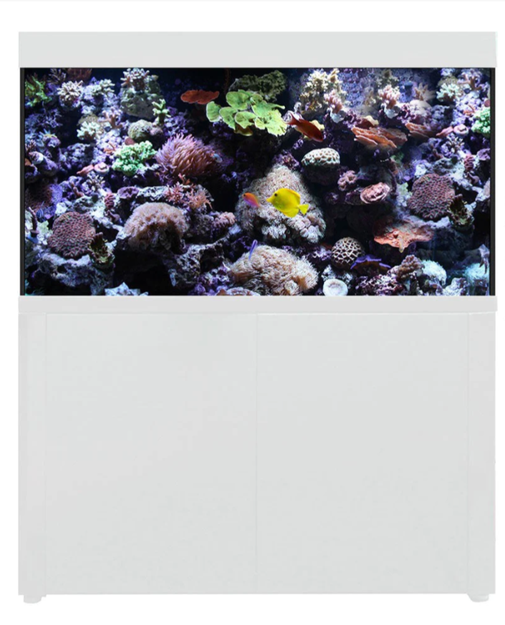 Aqua One Aqua Reef 400 S2 Marine Tank Body Only 129.5 L X 51.5 D X 76c Hurstville Aquarium