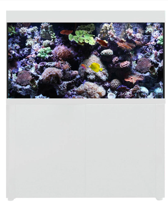 Aqua one marine fish tank clearance