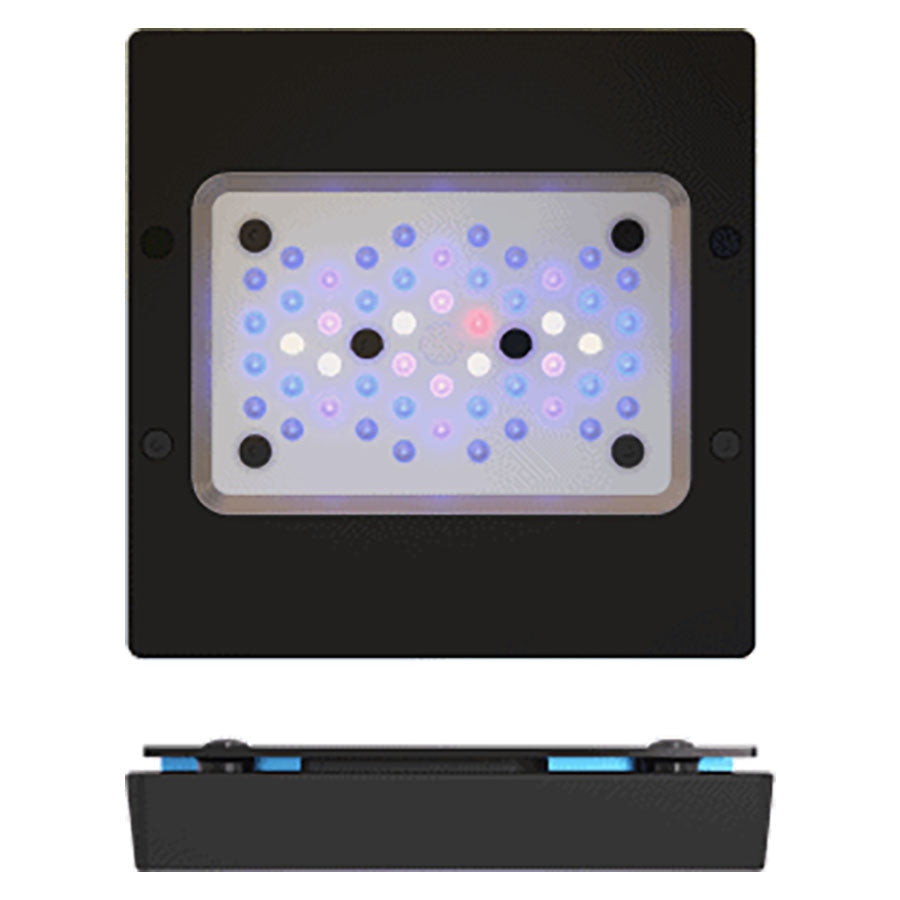 Ecotech Radion Xr15 G6 Blue