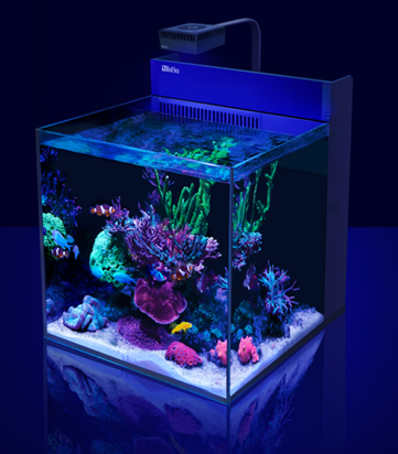 Red Sea Max Nanoxl G2 – Hurstville Aquarium