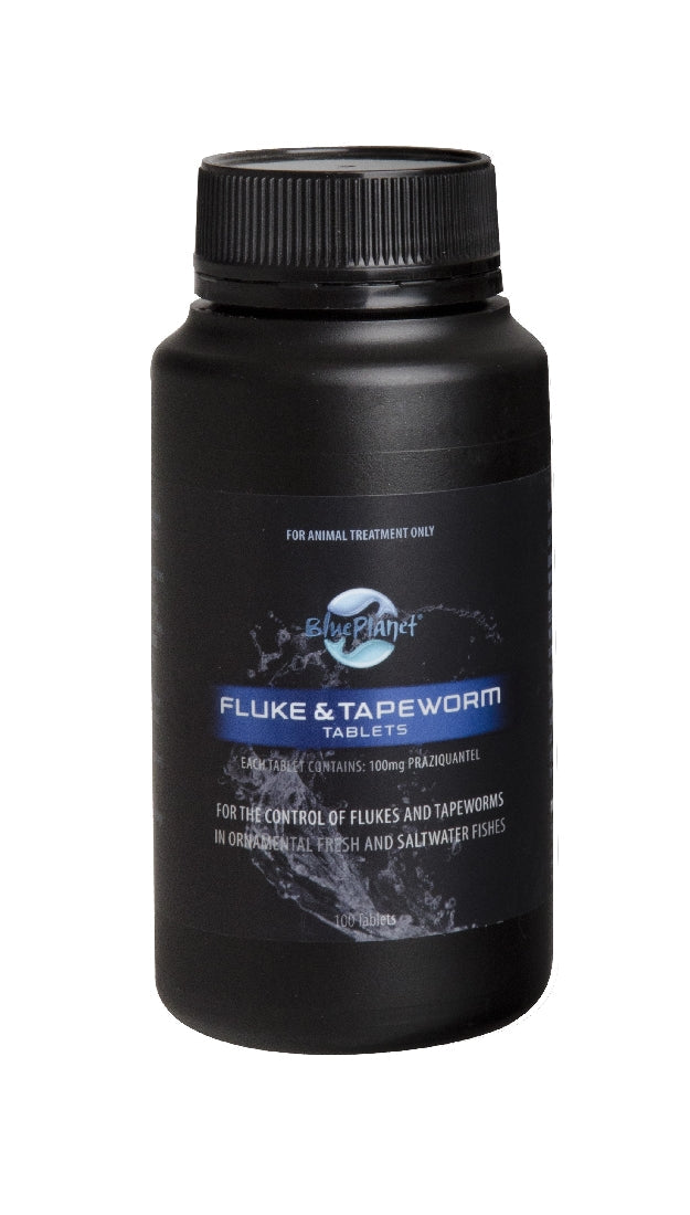 Blue Fluke Tapeworm 100pkBlue Fluke & Tapeworm 100tHurstville Aquarium
