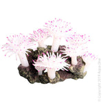 Aqua One Copi Coral Tube White Anemone 21.5x16.5x13cm (36902)-Hurstville Aquarium