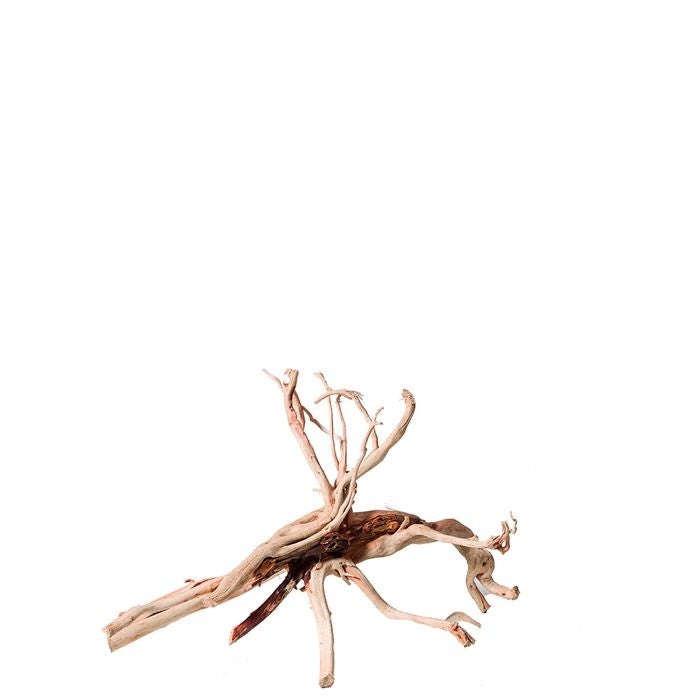 Aqua Natural Red Moore S 30cm