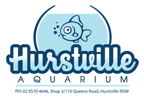 Hurstville Aquarium