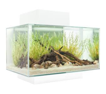 Fluval Edge 2.0 23ltr Unit White