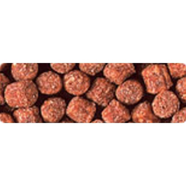 Hikari Wheat Germ Sinking Medium 500g-Hurstville Aquarium