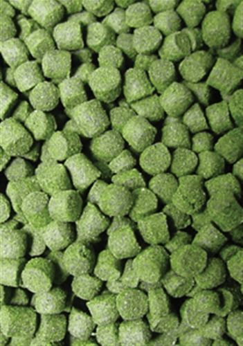 Ocean Nutrition Formula Two Pellet M 400g-Hurstville Aquarium
