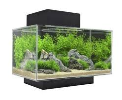 Fluval Edge 2.0 23ltr Unit Blac