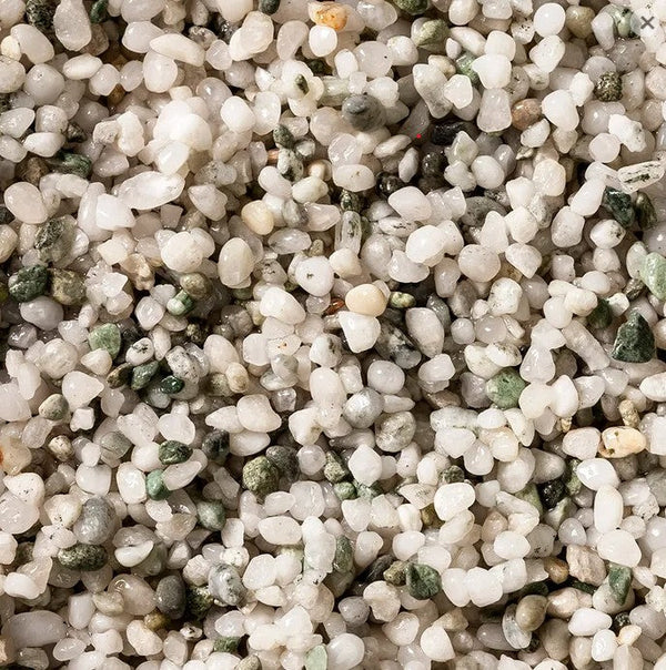 Pisces Silver Pearl (9kg)-Hurstville Aquarium