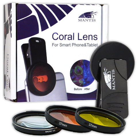 Mantis Coral Lens-Hurstville Aquarium