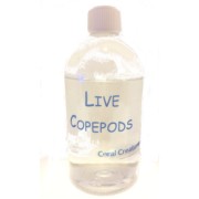 Live Copepods 250ml-Hurstville Aquarium