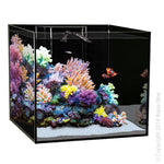 Aqua One Reefsys 255 Black (53443bk-s)-Hurstville Aquarium