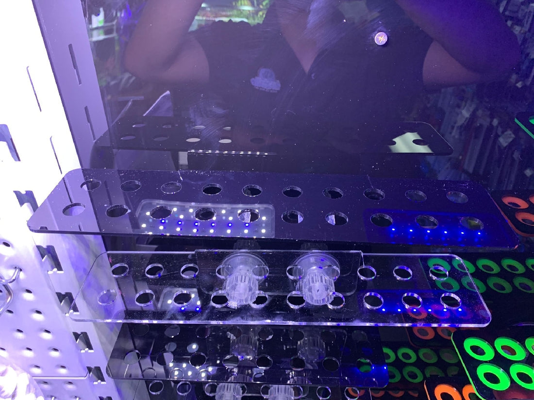 frag rack-Frag Rack 20 Hole Clear-Hurstville Aquarium