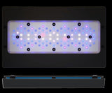 Ecotech Radion Xr30 G6 Blue