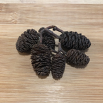 Alder Cones 20 Pieces