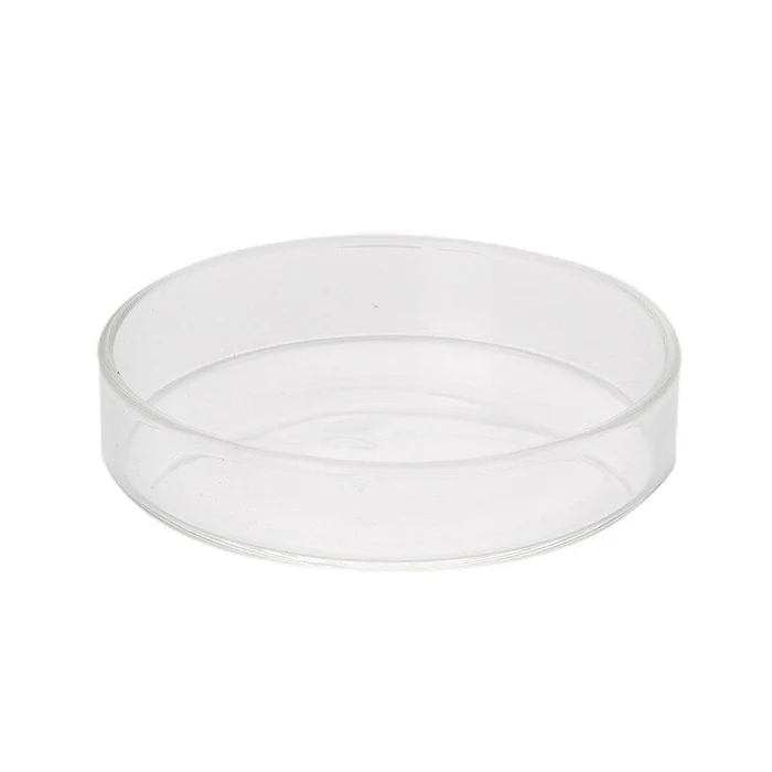 Shrimp Glass Feeding Dish (65mm)