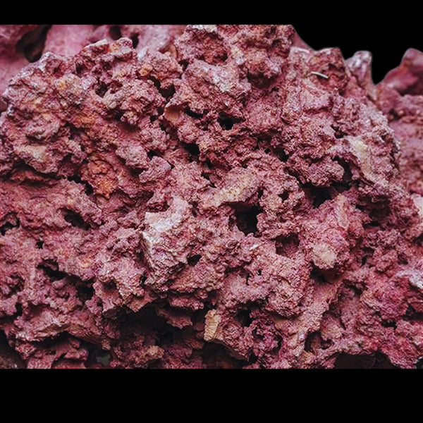 Marco Rock Coralline Spray 