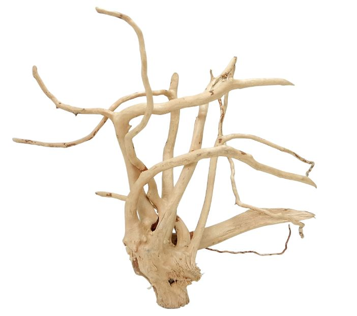 Wyld Spider Wood Xl