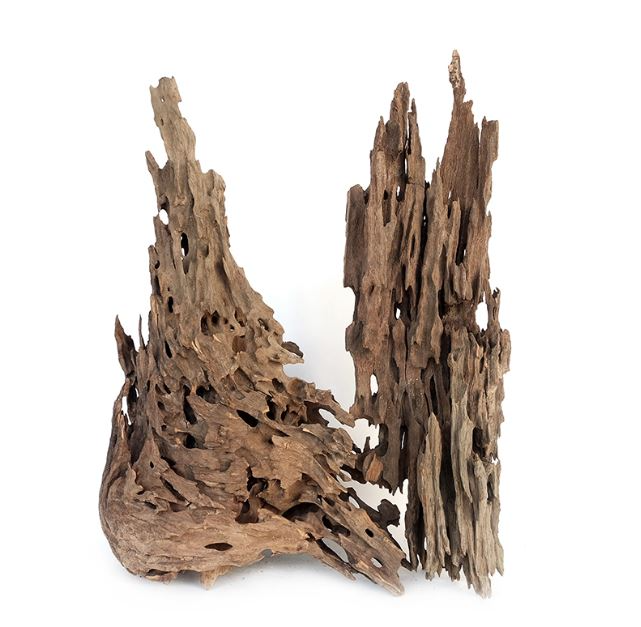 Wyld Dragon Wood M