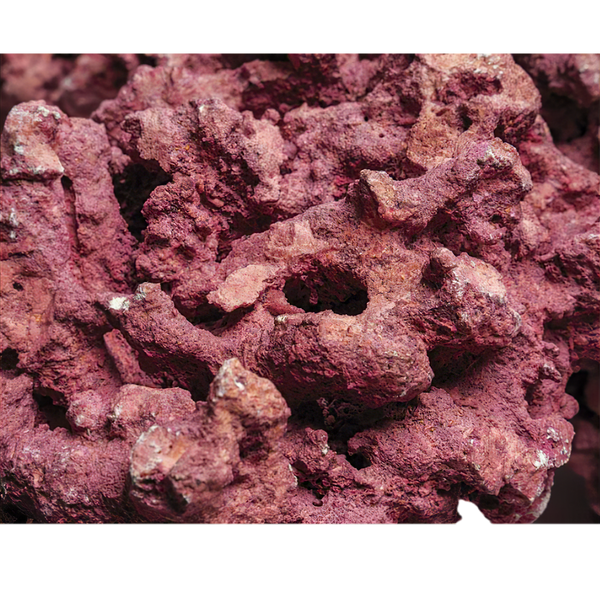 Marco Rock - Coralline Foundation (per Kg)