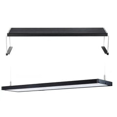 Chihiros Wrgb Ii 10th Edition Led Light – Hurstville Aquarium