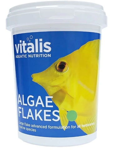 Vitalis Aquatic Nutrition Algae Flake 40g-Hurstville Aquarium