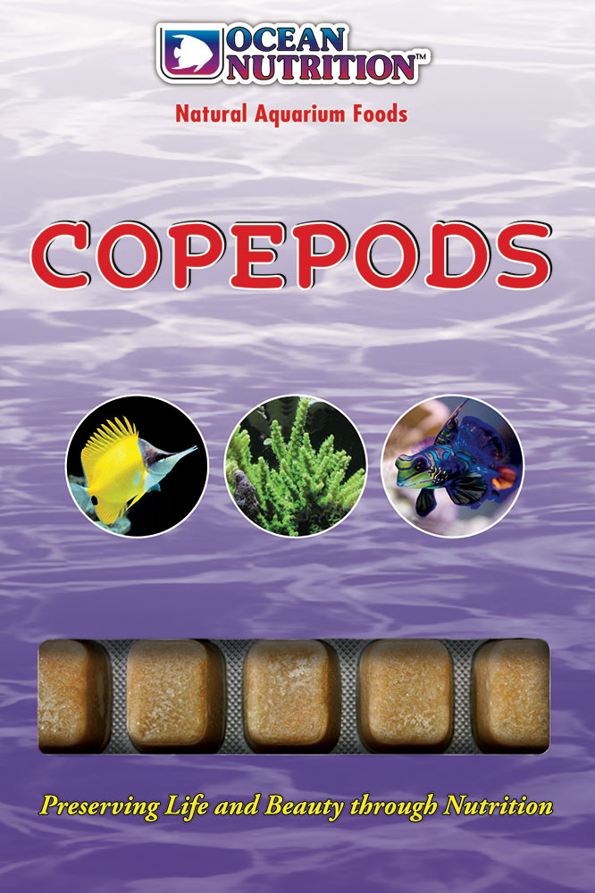 Ocean Nutrition Copepods