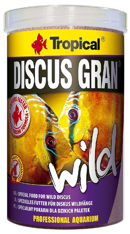 Tropical Discus Gran Wild 85g-Hurstville Aquarium