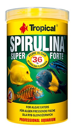 Tropical Spirulina Super Forte Flake 200g-Hurstville Aquarium