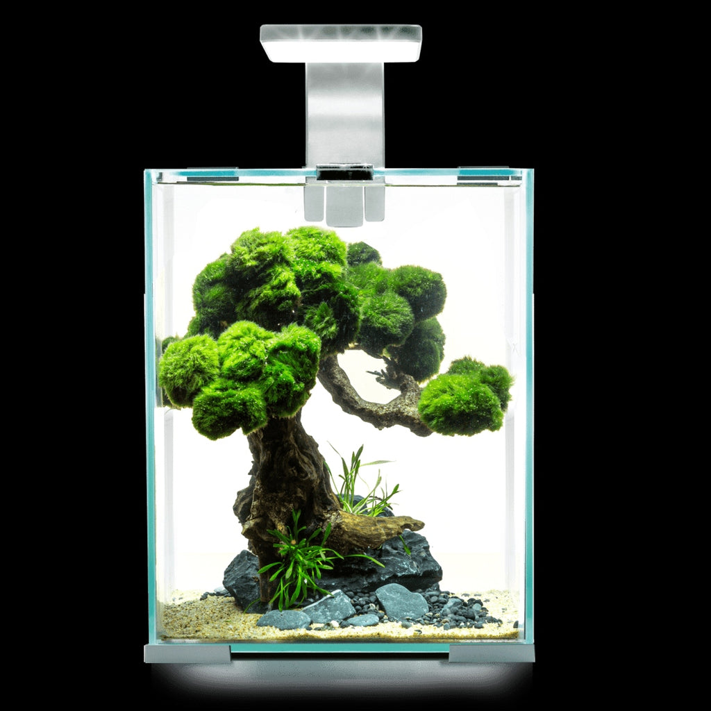 Aquael Shrimp Set Day & Night 10 Black