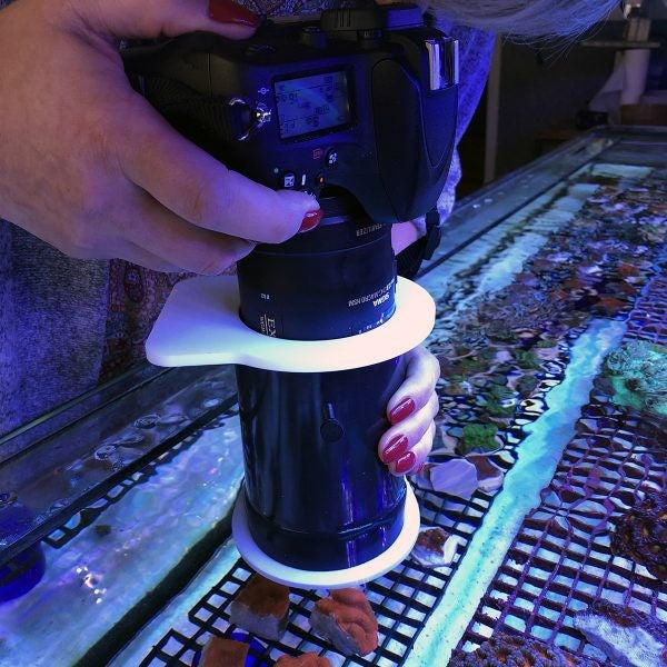 Pacific Sun U-look Adapter-Hurstville Aquarium