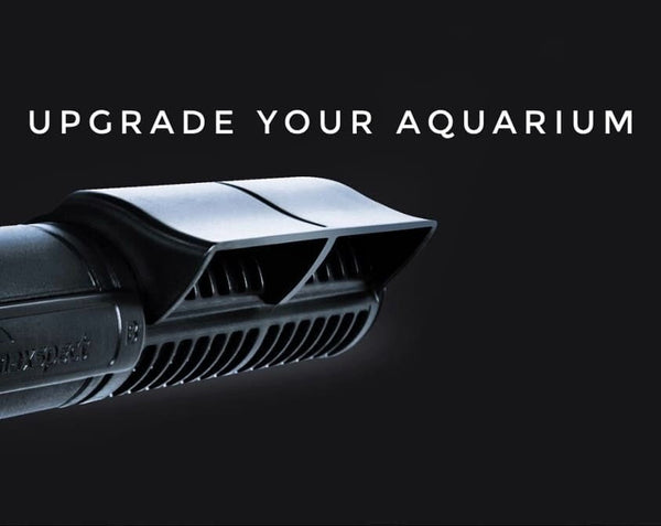 Maxspect Gyre Xf350 Single Pump-Hurstville Aquarium