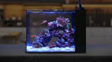 Waterbox Aquariums Penisula 25 (pump Included)-Hurstville Aquarium
