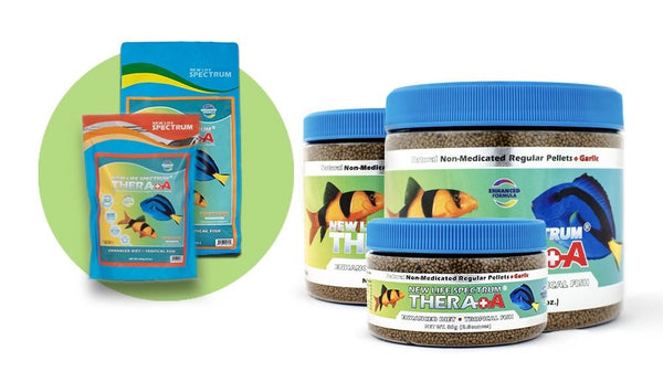 New Life Spectrum Thera A+ (regular) 600g-Hurstville Aquarium