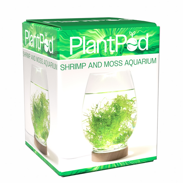 Aqua Natural Shrimp & Moss Aquarium