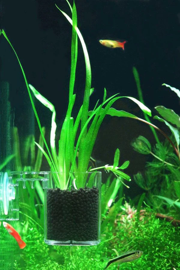 Ziss Aqua - Bbs Feeding Cup Sf-0 - 0.13mm