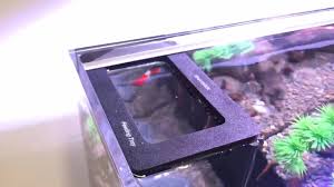 Dymax Feeding Tray - Small
