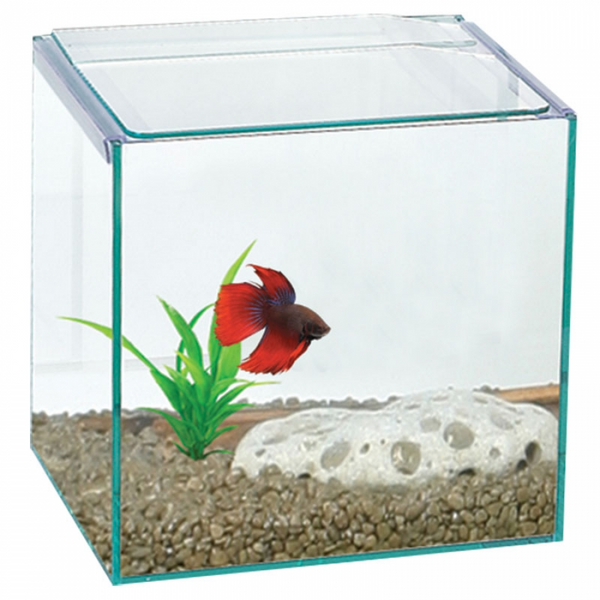Aqua One Betta Cube Square Glass Tank 16x16x16cm