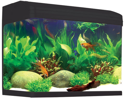 Aqua One Aquastyle 620 Tank Gloss Black (52010gbk)-Hurstville Aquarium