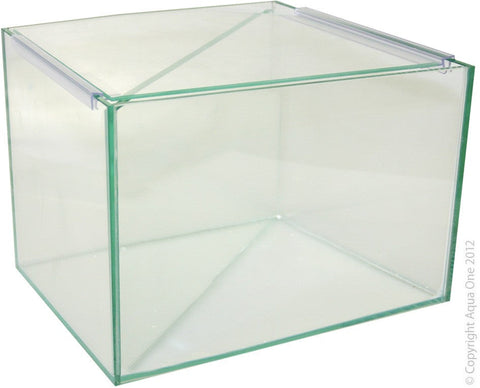 Aqua One Betta Divided Glass Tank 25x20x20cm (56307)-Hurstville Aquarium