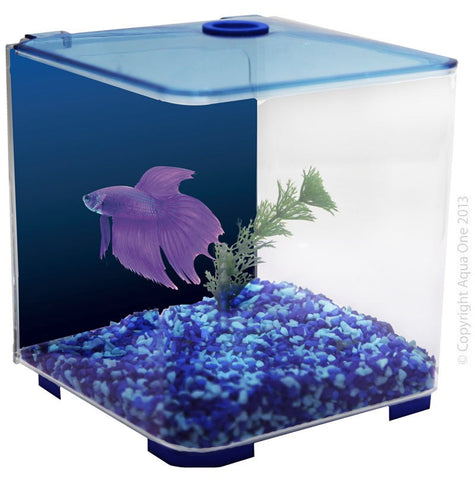 Aqua One Betta Style 3l Blue (56101bl)-Hurstville Aquarium