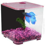Aqua One Betta Style 3l Pink (56101pk)-Hurstville Aquarium