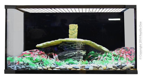 Reptile One Turtle Eco 120 Glass Tank 120 L X 60 D X 50cm H (leonardo)-Hurstville Aquarium