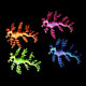 Sticky Image