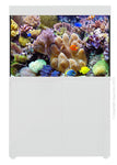 Aqua One Aqua Reef 300 S2 White (53438wh)-Hurstville Aquarium