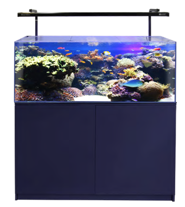 Aqua One Minireef 215 Marine Set 215l 120 L X 45 D X 45/80cm H (black)