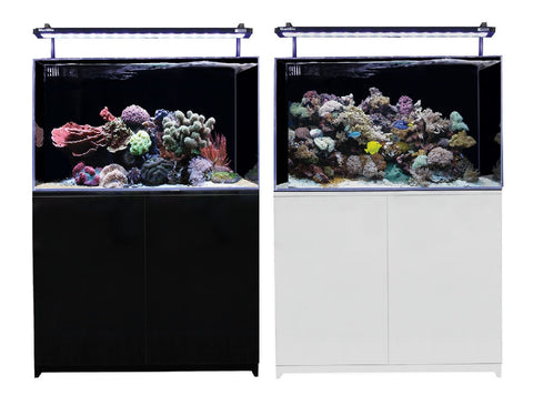 Aqua One Mini Reef 160 Black (53435bk)-Hurstville Aquarium