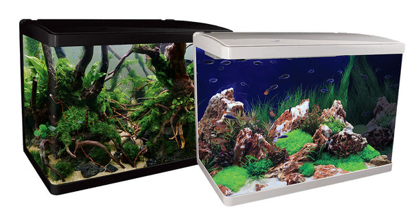 Aqua One Lifestyle 76 Complete Glass Aquarium 60cm 76l Gloss White-Hurstville Aquarium