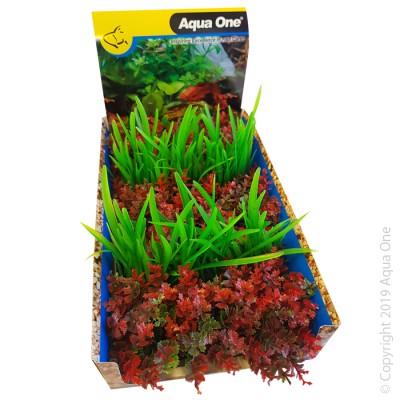 Aqua One Ecoscape Foreground Catspaw R/lilaeopsis Gn Mix Punnet (28369)-Hurstville Aquarium