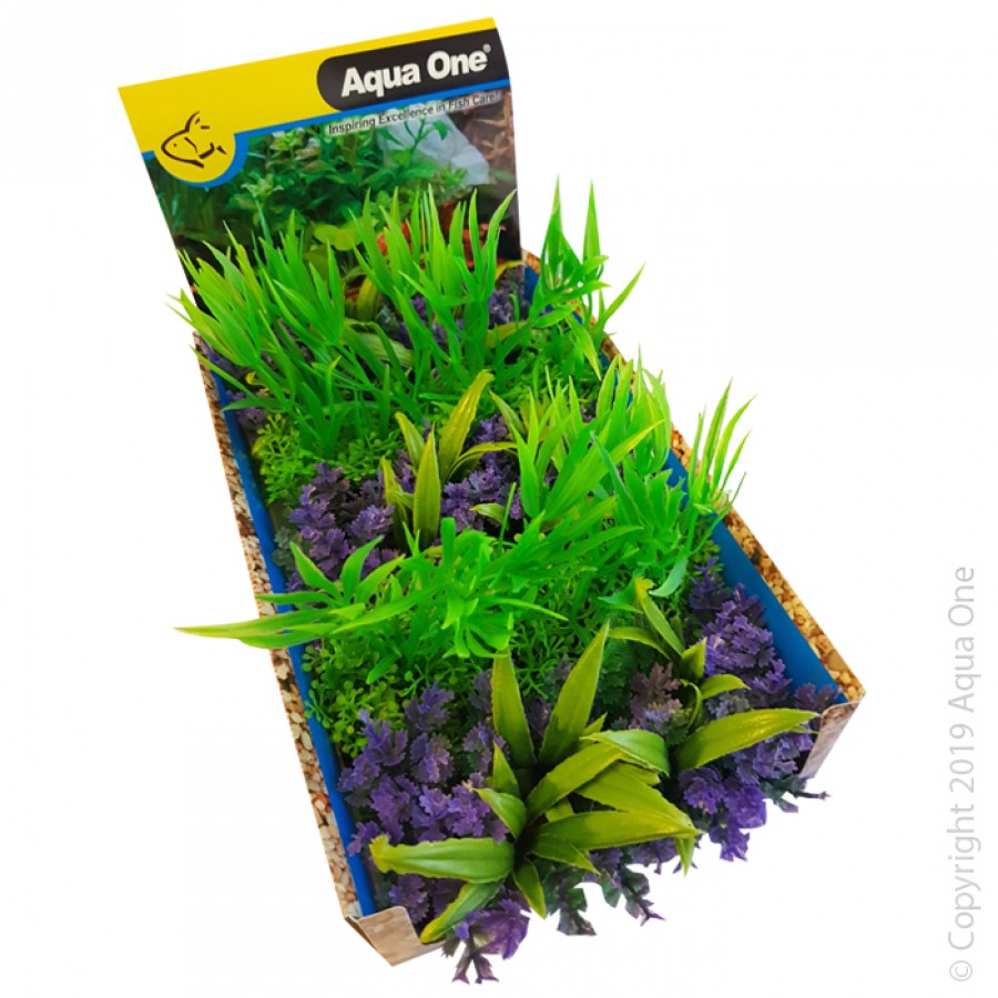 Aqua One Ecoscape Foreground Catspaw W/grass Pu/willow Hygro Gn Mix (28370)-Hurstville Aquarium